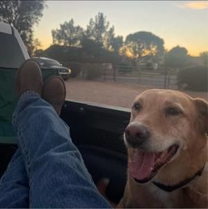 Meet your Posher, Matthew